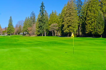 Golf place with gorgeous green and yellow flag