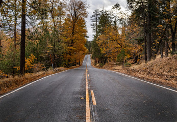 Mountain road to Big Bear Ca, with fall colors and fresh rain