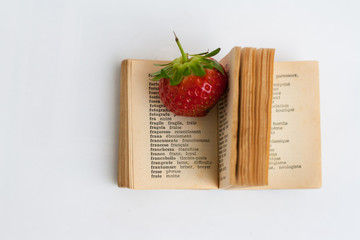 Dictionary Italian to French language, very little book with strawberry on the page of translation,...