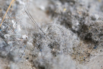 danger of dust in home from vacuum and the cause of Respiratory diseases in office man.