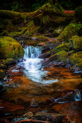 Killarney National Parc Torc Waterfall