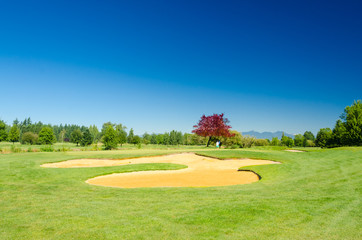 Obraz premium Golf course with gorgeous green and sand bunker