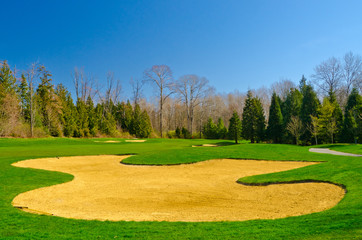 Sand bunker on the golf course with green grass and trees over blue sky.