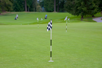 Fototapeta premium Putting area over a blurred green. Shallow depth of field. Focus on the first flag.