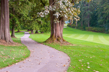 Golf place with nice green and curved path.