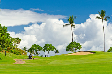 Fototapeta premium Golf place with gorgeous green and palm tree over blue sky with white clouds view