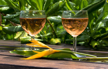 Romantische Weinprobe