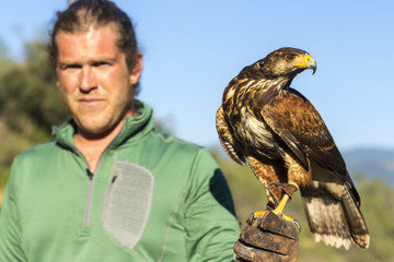 Man holding a falcon on his arm