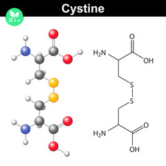 Cystine dipeptide molecular structure, cysteine dimer