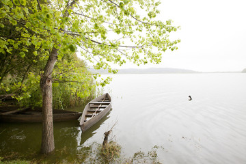Park of Pateira de Fermentelos