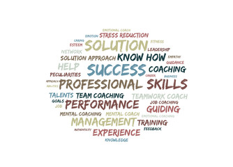 professional skills word cloud shaped as a circle