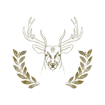hand drawn deer head with horns vector illustration