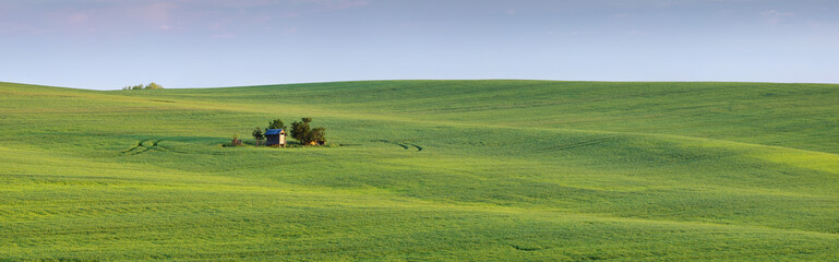 Naklejka premium little farm house on the wave of wheat field