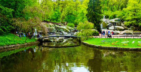 Fototapeta premium incredible nature