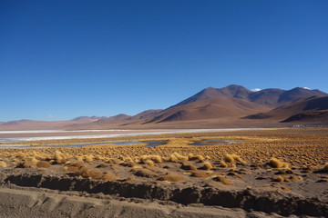 Fototapeta na wymiar Andes Mountains