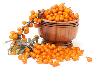 Sea-buckthorn berries in a wooden bowl with sprig isolated on white background
