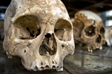 Close up of Human Skull