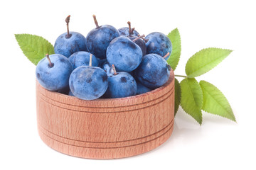 blackthorn berries with leaves in a wooden bowl isolated on white background