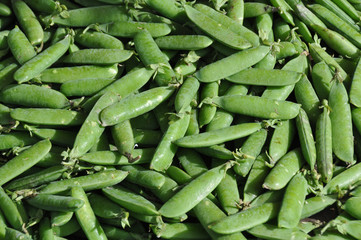 Grüne Bohnen