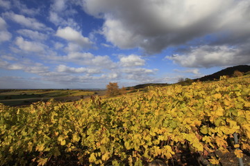 Farbenspiel der Herbstlandschaft