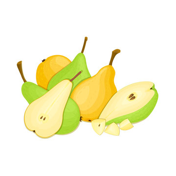 Composition of several pears. Yellow and green vector pear fruits whole and slice appetizing looking. Group of tasty fruits colorful design for the packaging of juice breakfast, healthy eating vegan