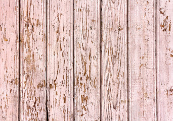 Fototapeta na wymiar Texture of planks of old pine wood with peeling paint