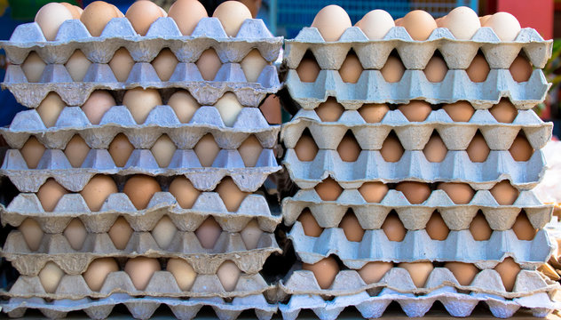 Biologische Eier