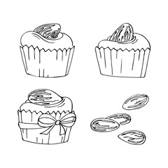 almond sweets cupcakes vector simple sketch