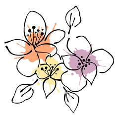 Vector floral illustration.Branch with flowers with leaves isolated on the white background. Hand drawn contour lines and strokes with watercolor splash, stain, spot. Graphic vector illustration