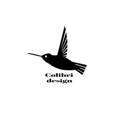 Colibri logo. Colibri logo design template. Vector illustration for your company.