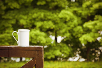 Cup