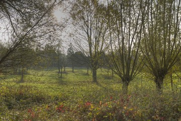 Herbstspaziergang in den Niepkuhlen