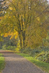 Herbstspaziergang in den Niepkuhlen