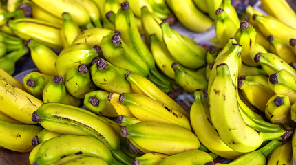 Tropical Hawaiian organic banana fruit