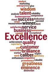 Excellence, word cloud concept 7