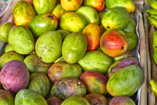 Hawaiian local island organic tropical mango