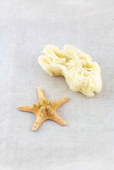 Fototapeta na wymiar SPA objects. Starfish and sea sponge background.