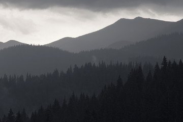 Black and white photo of Carpathian mountains