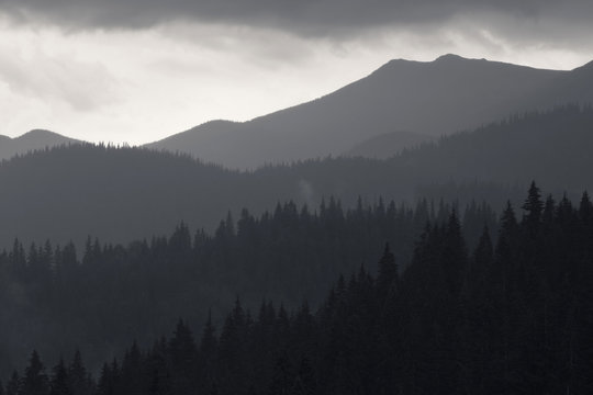 Fototapeta Black and white photo of Carpathian mountains