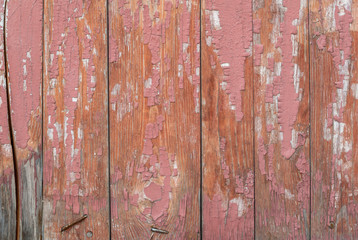 chipped paint on the door of the old boards, great background or texture for your project