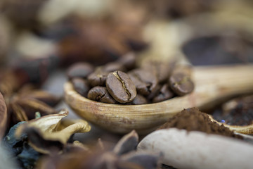 coffee beans on a wooden spoon