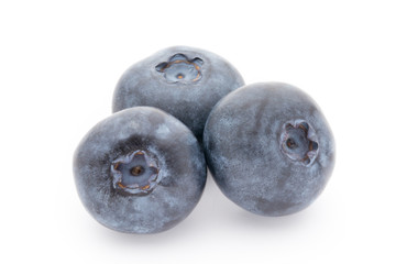 Fototapeta premium Close up of a blueberry branch isolated over white.