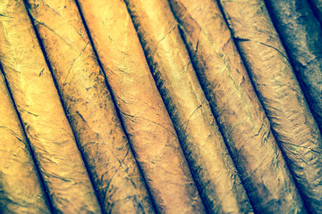 Fototapeta premium Close view on cuban hand rolled cigars