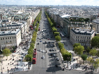 Champs Elysees - obrazy, fototapety, plakaty