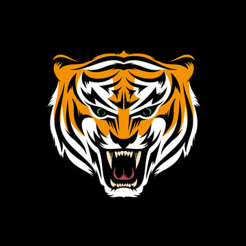 Stylized head of snarling tiger isolated on black background - mascot logo. Vector  layered illustration.