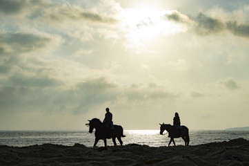 Fototapeta na wymiar Horse ride Huelva Spain