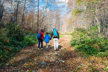 Obraz premium Family hiking in the forest