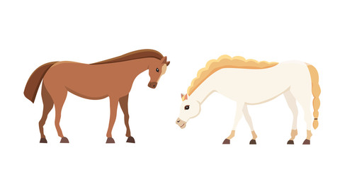 Cartoon farm isolated vector hoses. Collection of animal horse standing . Different silhouette