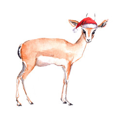 Cute antelope in red santa's hat. Watercolor christmas animal
