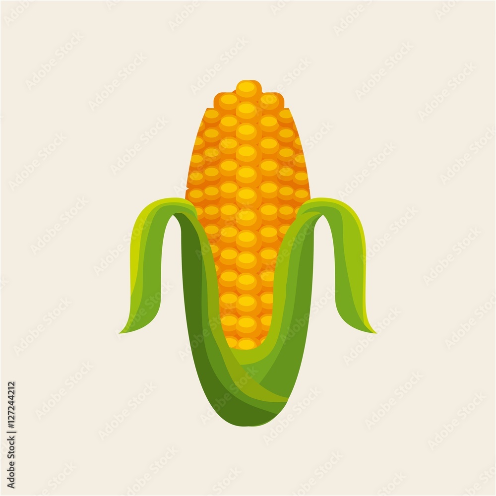 Sticker corn vegetable icon over white background